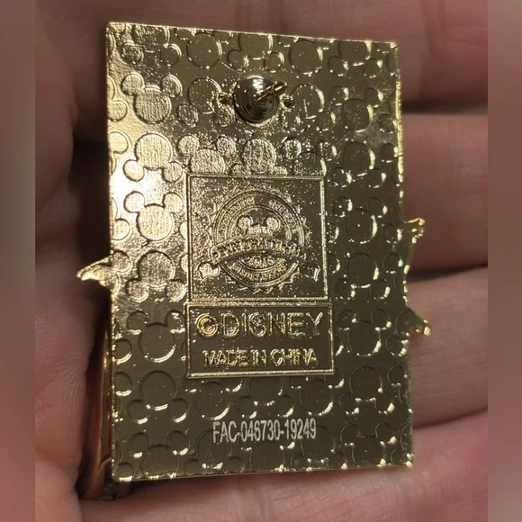 Walt Disney World Pin - Animal Kingdom's Rivers of Light Show - Picture 4 of 5